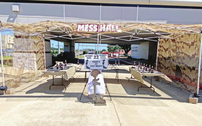 Locals join 11th annual Carry the Load walk