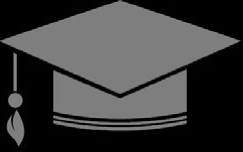 Alt Text for Image