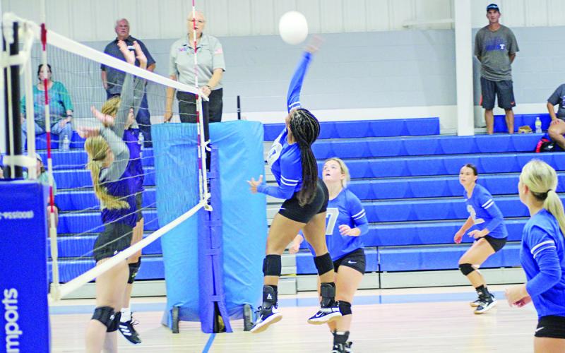TRIBUNE PHOTO / QUINTEN BOYD