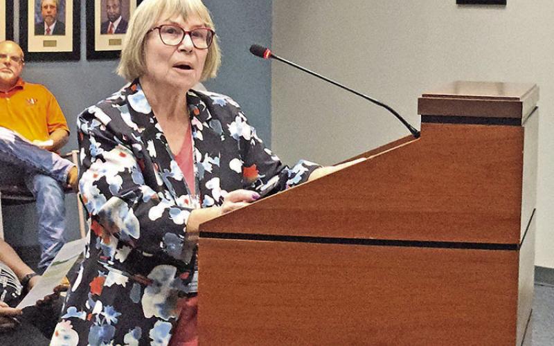 Several city workers and representatives speak during the July 15th city council meeting