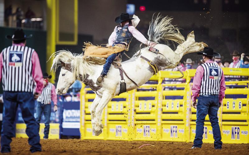 Kaycee Feild rides this bronc bareback in the 2020 NFR. He will be riding again this year, sponsored by Priefert. COURTESY PHOTO