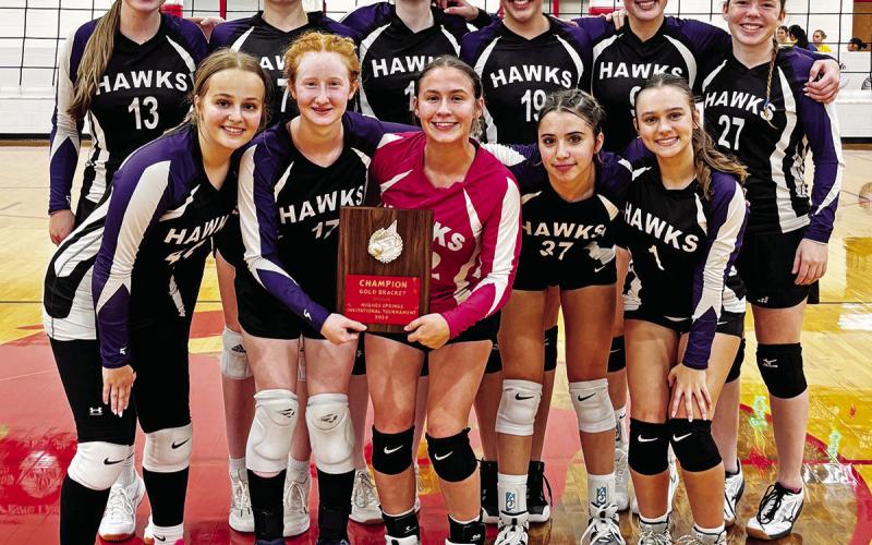 CHAAMP Hawks Varsity Volleyball Team wins Gold