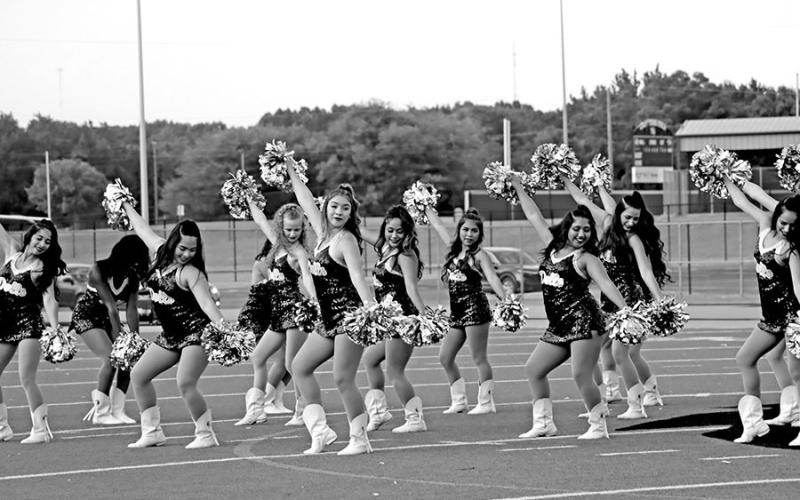 MPISD Meet the Tigers