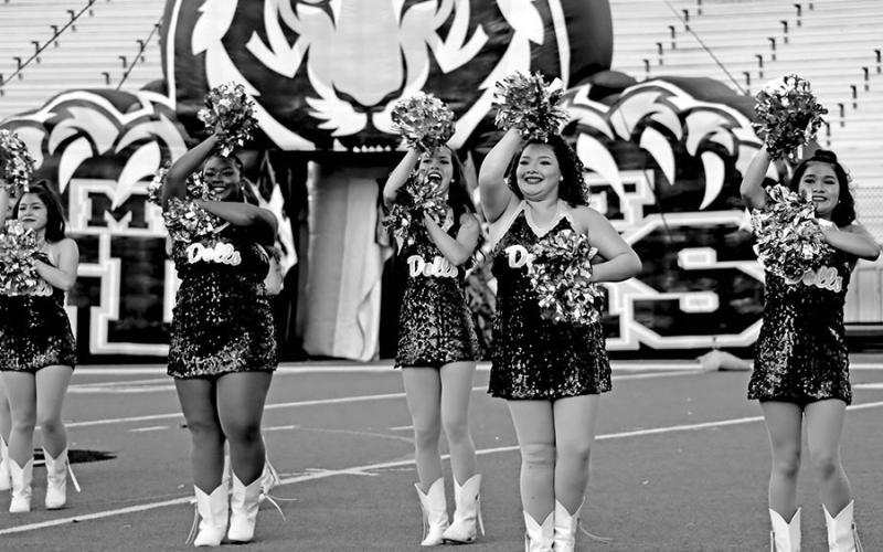 MPISD Meet the Tigers