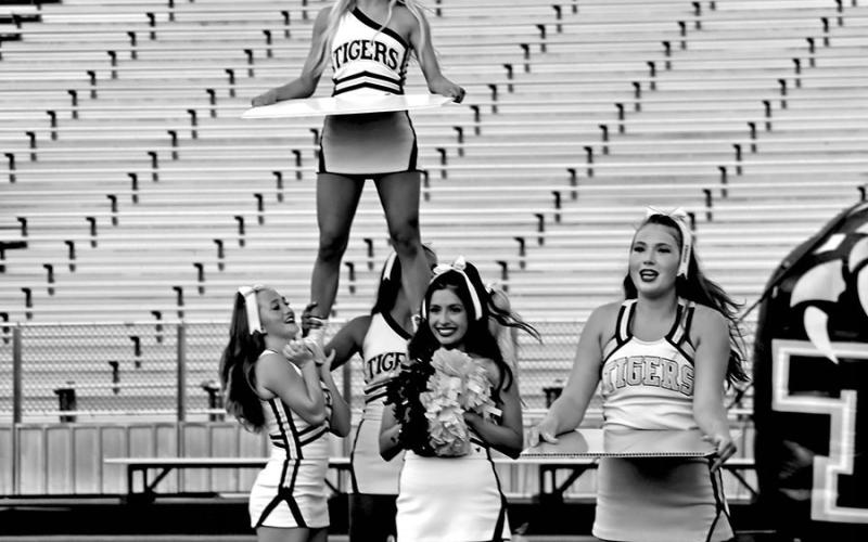 MPISD Meet the Tigers