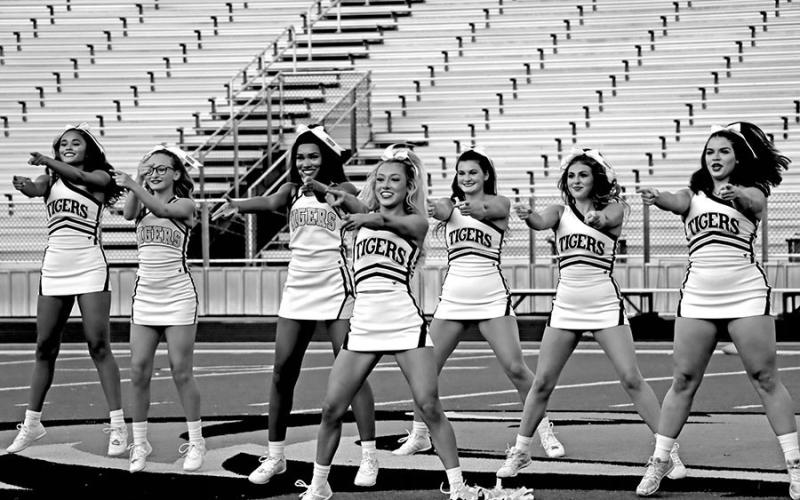 MPISD Meet the Tigers