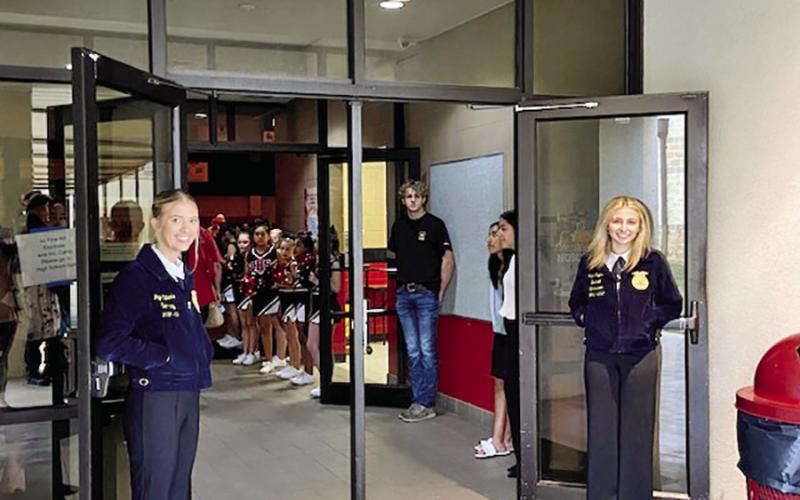 Chapel Hill ISD Veterans Day Program