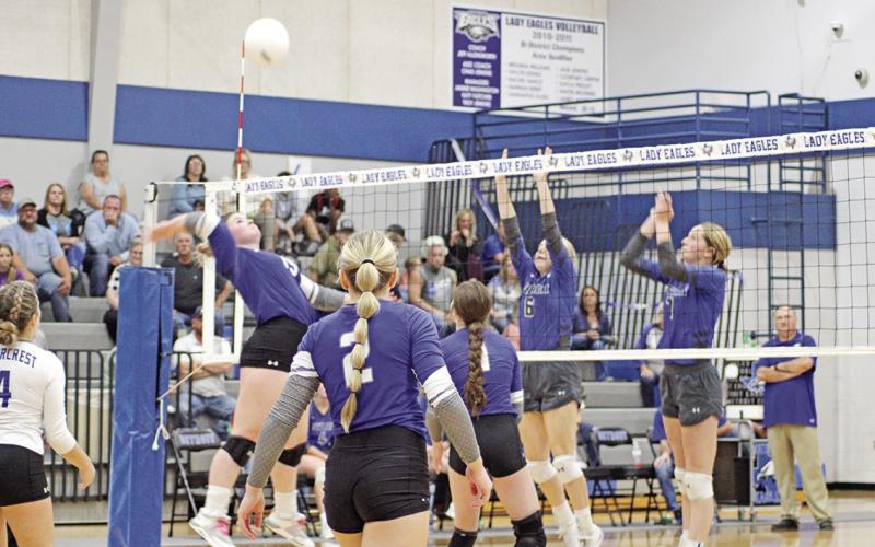 Rivercrest’s Elizabeth Langehennig jumps for a spike during Tuesday’s game at Detroit. The Lady Rebels and Lady Eagles are tied for first place in District 17-2A after Detroit’s 3-2 win. Rivercrest hosted Clarksville Friday. TRIBUNE PHOTO / QUINTEN BOYD