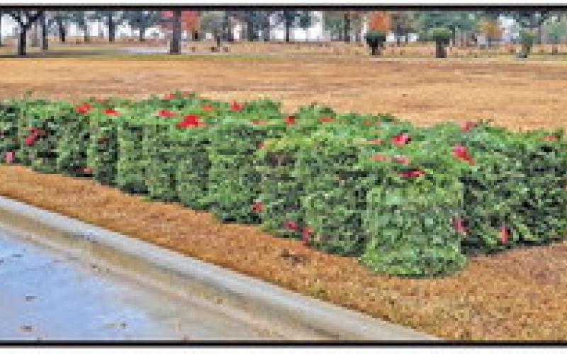 In spite of the looming forecast of rain Saturday, December 14th, National Honor Society of Chapel Hill HS participated in Wreaths Across America sponsored locally by Daughters of the American Revolution. The members honored veterans by placing Christmas wreaths on their graves at Forest Lawn and the Masonic cemeteries while saying the soldier’s name. A true tribute to America and those who sacrificed for her. COURTESY PHOTO