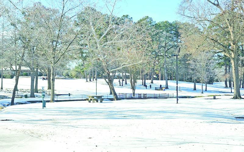 Dellwood Park is transformed into a winter wonderland