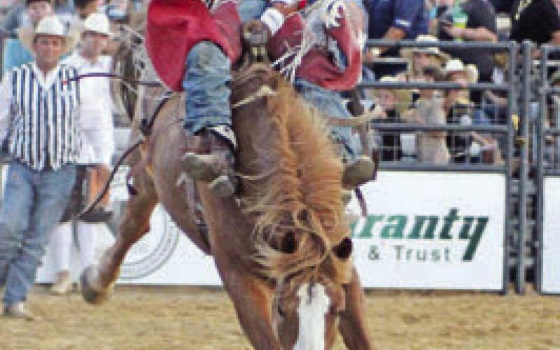 Spur Week has officially kicked off, and festivities are under way this week, as the Mount Pleasant Rodeo celebrates 60 years. See more inside.