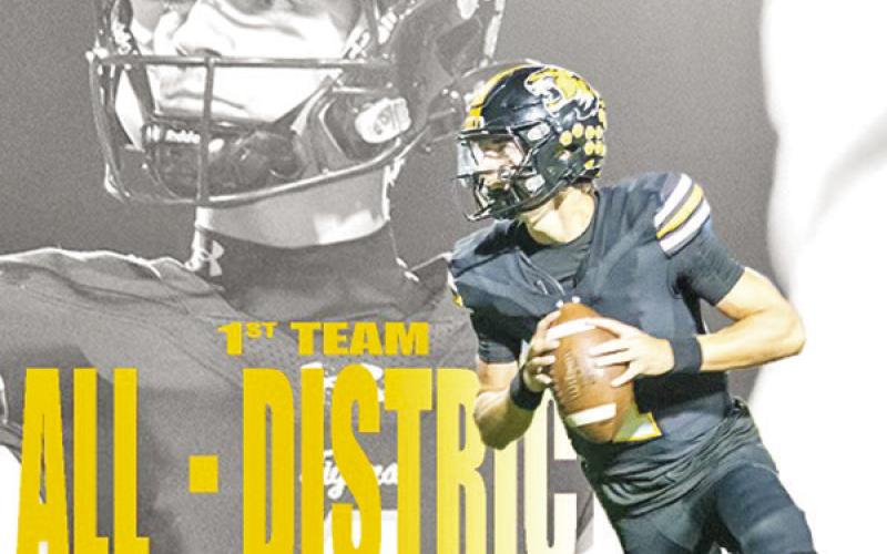 Tigers receive 21 slots on all-district team