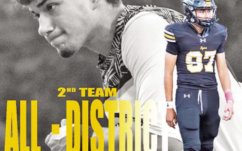 Tigers receive 21 slots on all-district team