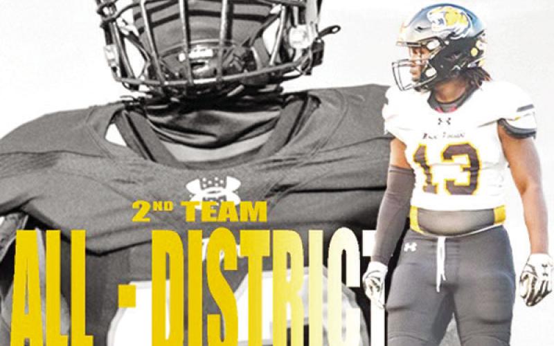 Tigers receive 21 slots on all-district team