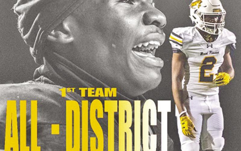 Tigers receive 21 slots on all-district team