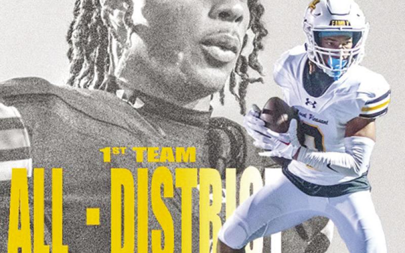 Tigers receive 21 slots on all-district team