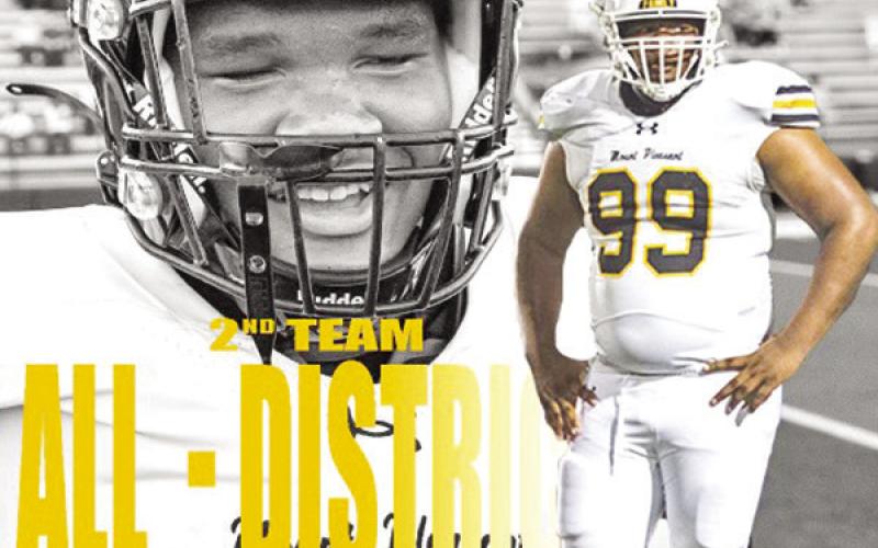 Tigers receive 21 slots on all-district team