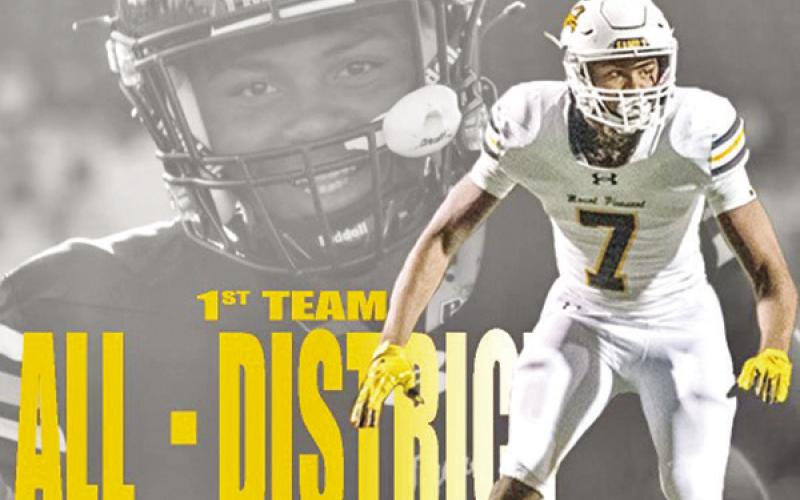 Tigers receive 21 slots on all-district team
