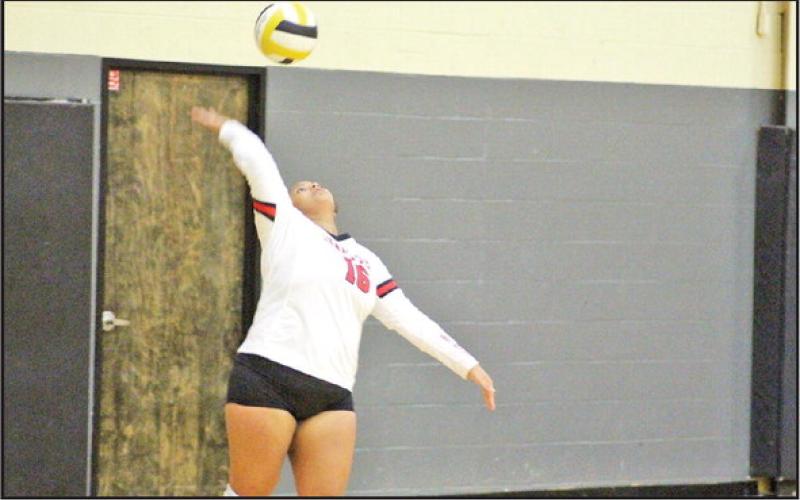 Chapel Hill’s Soraya Solis prepares to serve during a recent match. Solis and the Lady Devil volleyball team won their district opener Friday over Quitman, stretching the team’s winning streak to five. The Lady Devils traveled to Harmony Tuesday and will host Mount Vernon Tuesday. TRIBUNE PHOTO / QUINTEN BOYD