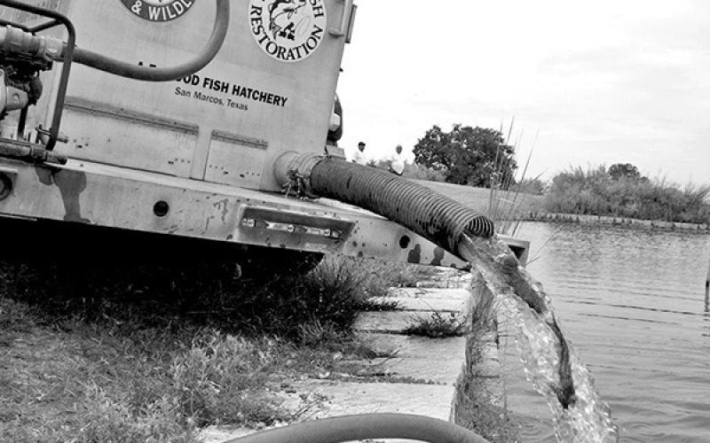 Between now and the end of October, TPWD hatchery trucks will deliver nearly 121,000 hatchery raised channel catfish to small lakes and ponds for anglers to catch. TPWD PHOTO