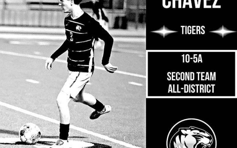 Tiger Soccer chosen for All-District and Coach of the Year honors