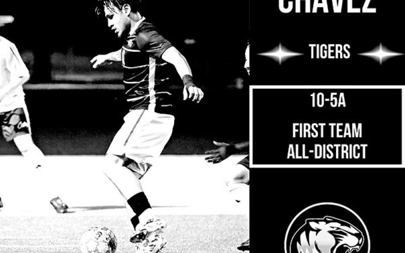 Tiger Soccer chosen for All-District and Coach of the Year honors