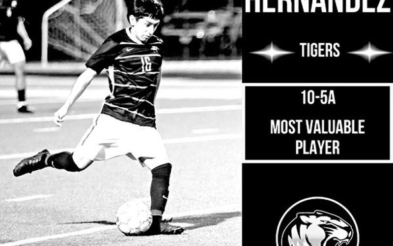 Tiger Soccer chosen for All-District and Coach of the Year honors