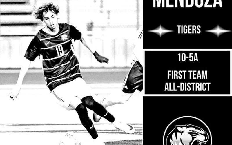 Tiger Soccer chosen for All-District and Coach of the Year honors