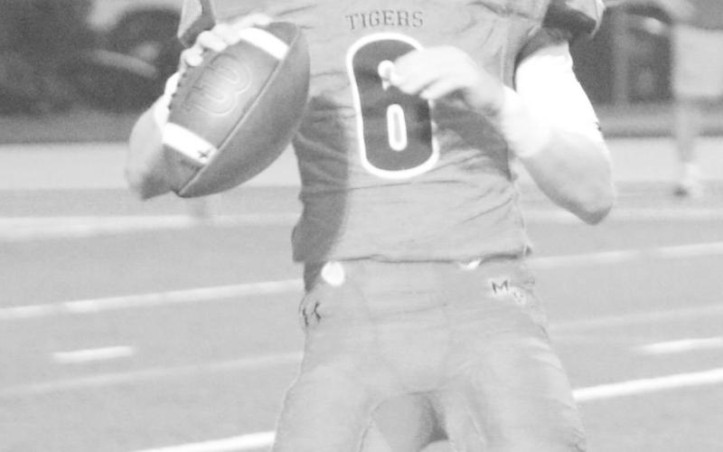 Tigers stymie Whitehouse, 23-7