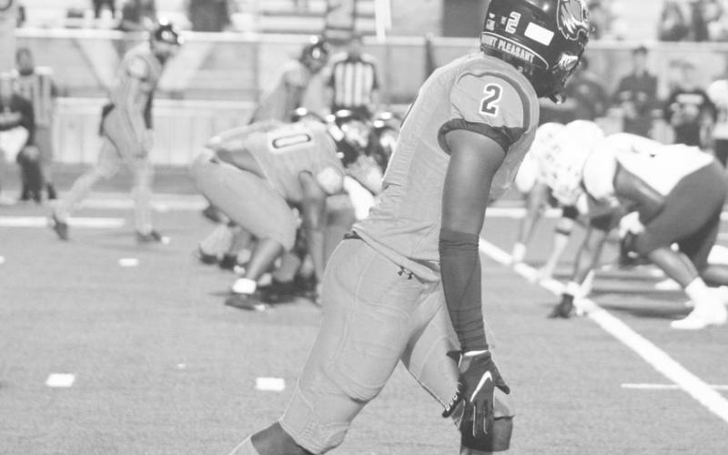 TRIBUNE PHOTOS / MIRANDA OGLESBY