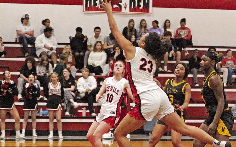 TRIBUNE PHOTO / QUINTEN BOYD