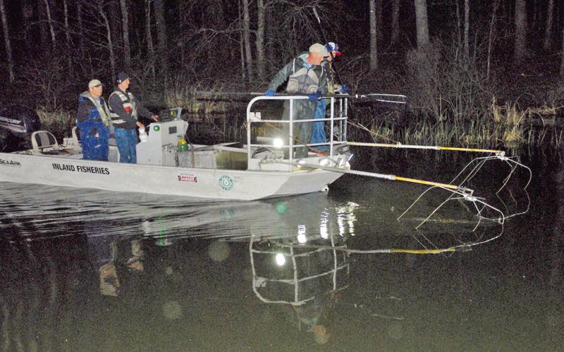 Approximately 4.4 percent of TPWD’s 2024 budget is ear marked for use by the state’s Inland Fisheries Division that oversees some of the best freshwater fishing in the nation. The Coastal Fisheries Division is allocated 3.8 percent. Here, inland fisheries staff carry out an electrofishing survey to gather useful data on the bass population in a public reservoir. (Photo by Matt Williams)