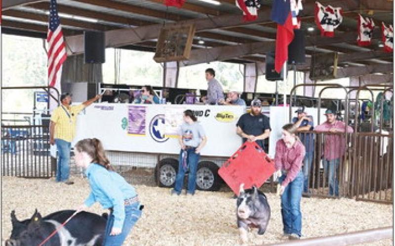 It’s fair time! The Titus County Fair kicked off this week at the fairgrounds. For more photos, see pages 6 and 7. TRIBUNE PHOTOS / MIRANDA OGLESBY