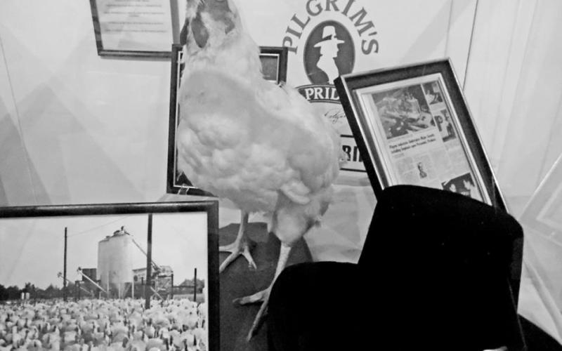 Chick Fest