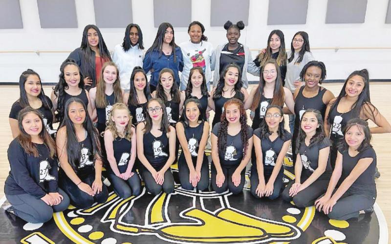 Tiger Dolls new members