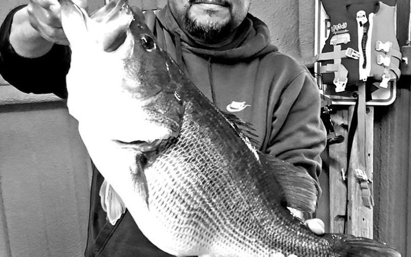 On Feb. 12, 2025, Gomez was fishing at the same dock when he caught the same fish a second time. The bass, now a 14.78 pounder, was identified by an internal “PIT” tag that was placed in its body cavity in 2023.