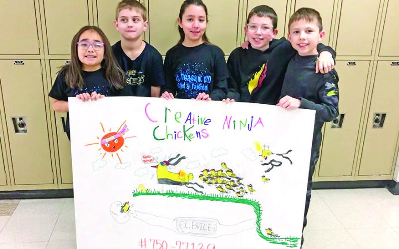 Creative Ninja Chickens
