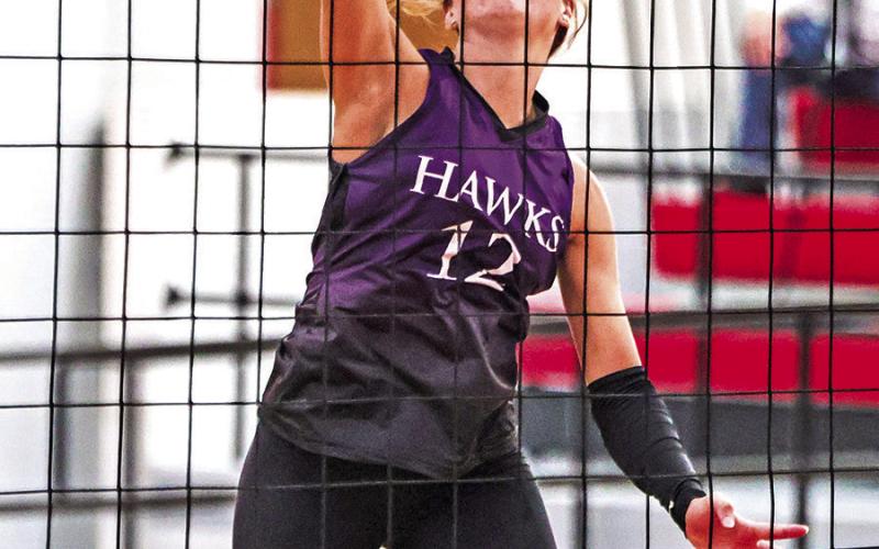 Varsity Volleyball wins against Mount Vernon