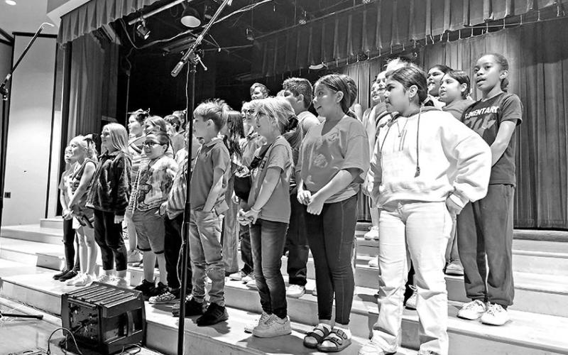 Veterans Day celebrated at Chapel Hill ISD