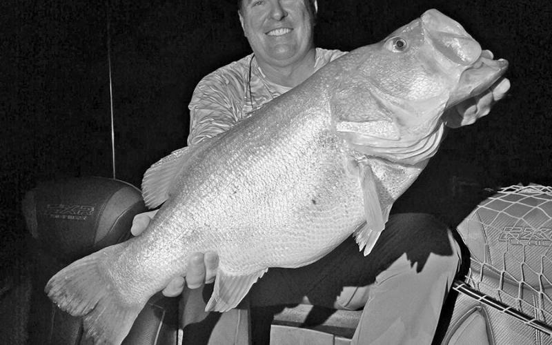 Night Owls: Big ones out to play at J.B. Thomas