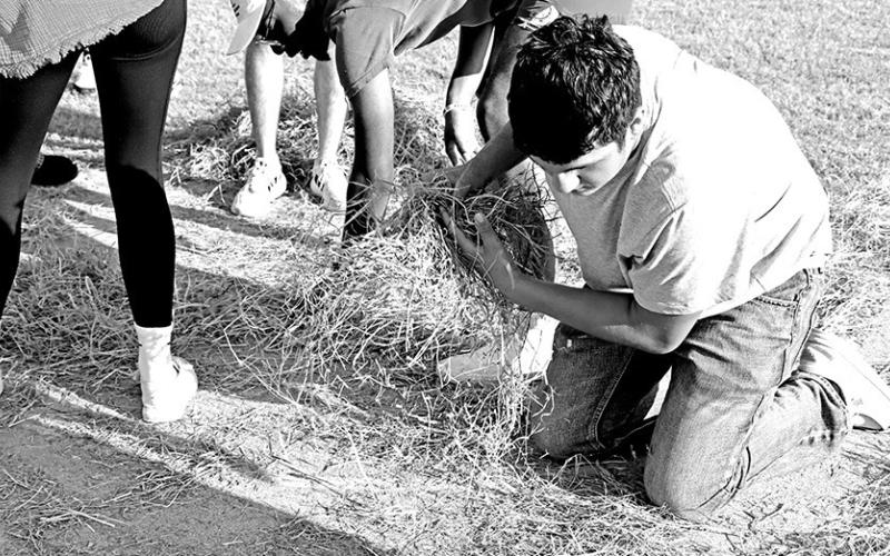 Xavier Willis looks for the penny hidden in the haystack