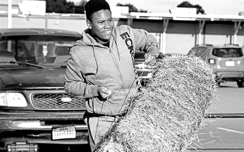 Kadain Gilstrap races to stack a bale of hay