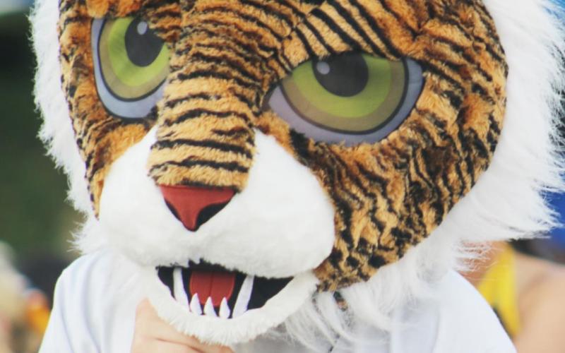 Tiger Fest 2021
