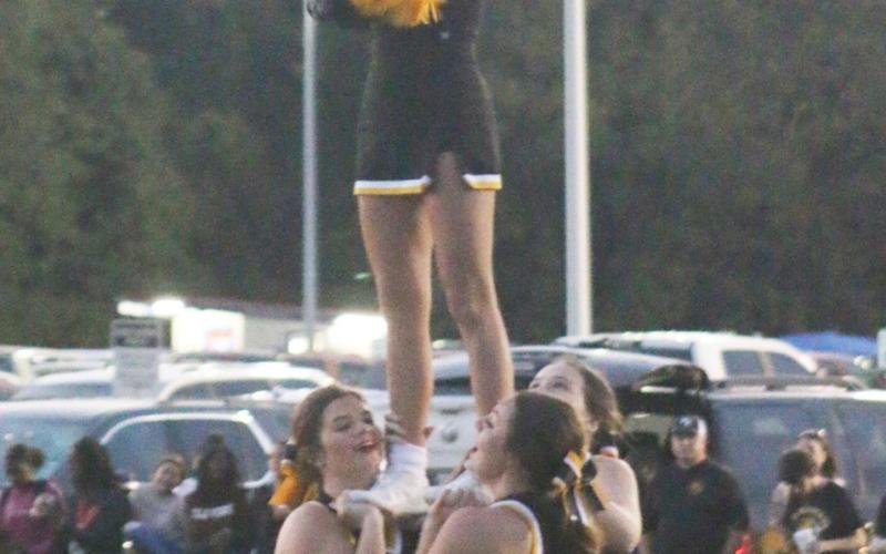 Tiger Fest 2021