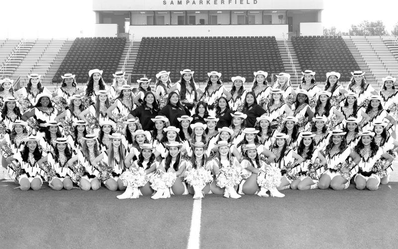 The 2025-2026 MPHS Tiger Dolls Courtesy Photo