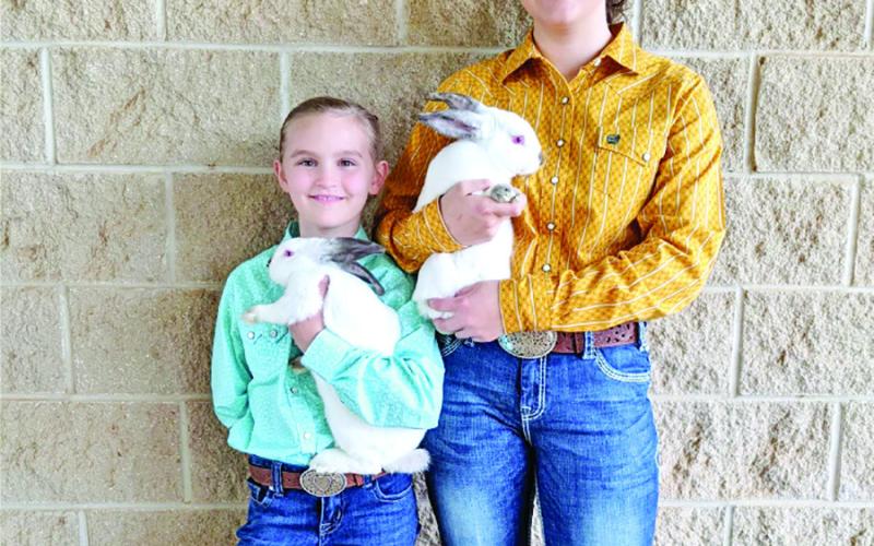 Eastyn Dunn and Analeigh Dunn display their rabbit projects from last year’s Titus County Fair.