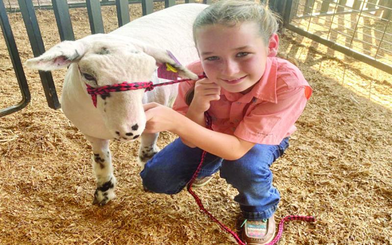 Janelle Snodgrass, fifth grade, will be showing a market goat and breeding ewe.