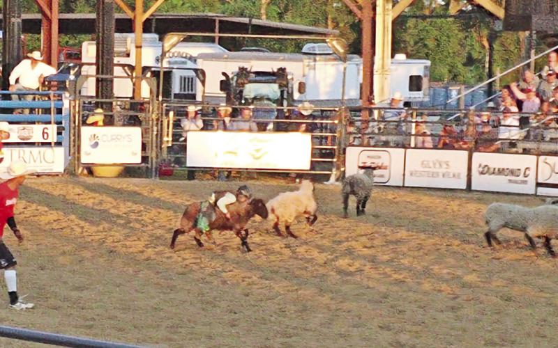 61st Annual Rodeo comes to town