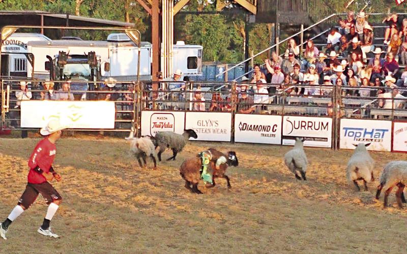 61st Annual Rodeo comes to town