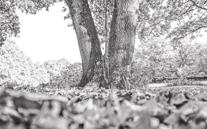 PHOTO BY LIAM CHARMER ON UNSPLASH